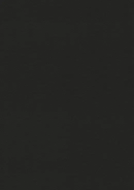 REHAU 1980L Schwarz Midnight Black matt