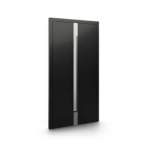 Türmodell DP11
